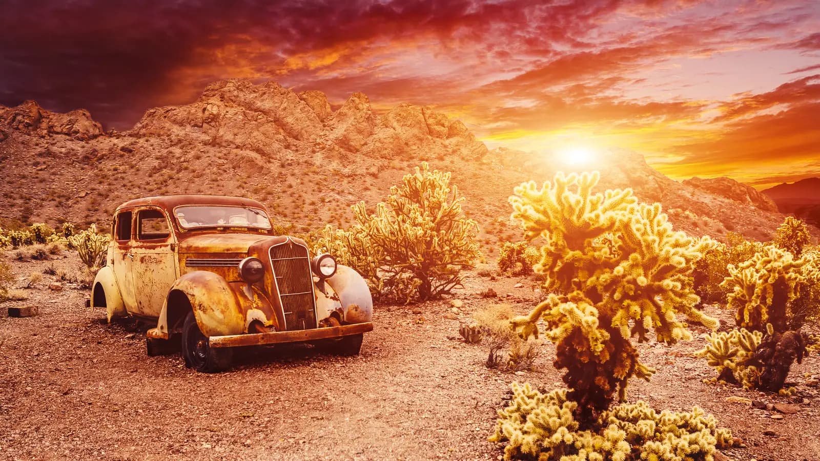 What an old junk car without a title is worth in Las Vegas A rusted vintage sedan sitting abandoned in a desert of cholla cactus at sunset